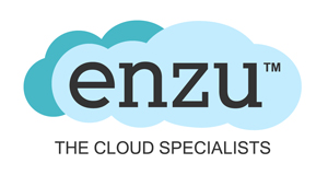 Enzu_big_logo