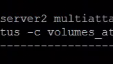 Queens - Cinder multi-attach