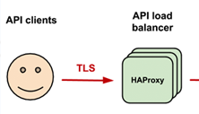 Backend TLS ensures OpenStack API traffic is encrypted end-to-end.